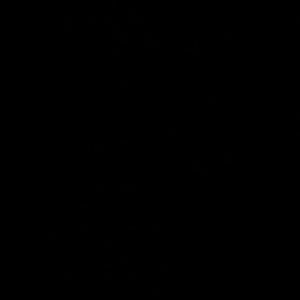 Meet your Posher, Bri